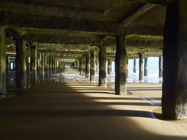 Cost of Pier And Beam Leveling in Arvada